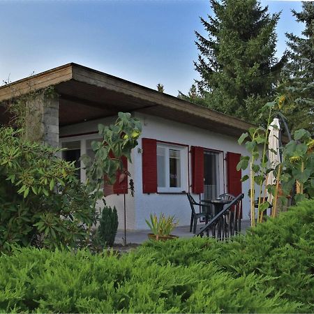 Cozy Holiday Home In G Ntersberge With Garden Guntersberge Exterior photo